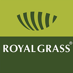 ROYAL GRASS