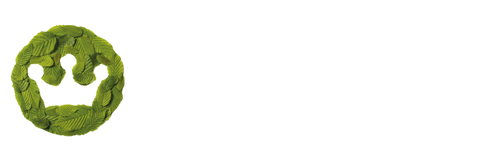 https://kroontuinen.stijlvolletuinen.nl/wp-content/uploads/2021/12/cropped-kroon-tuinen-diap.png